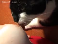Wonderful mummy receives sexually aroused after breastfeeding her kitty
